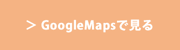 bt_googlemap